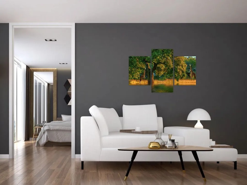 Tablou cu girafe în natură (90x60 cm)