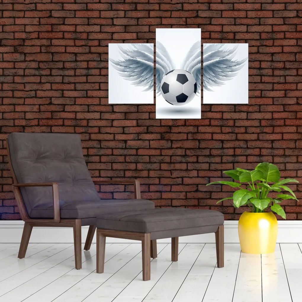 Tablou - Balon cu aripi (90x60 cm)