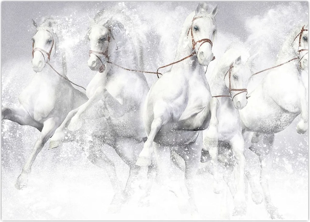 Tablou - Ilustrație de cai de curse (70x50 cm)