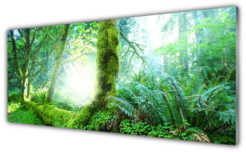 Tablouri acrilice Pădurea Verde Natura