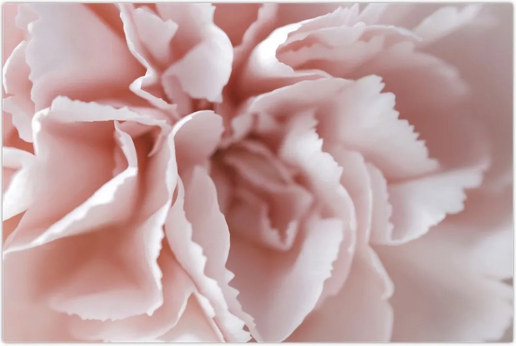 Tablou - Detaliu flori (90x60 cm)