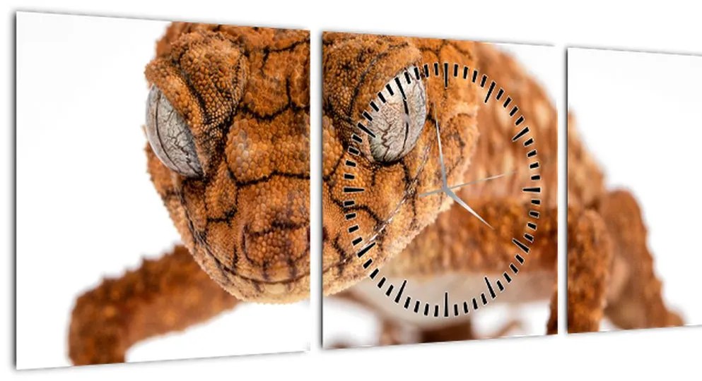 Tablou cu șopârlă (cu ceas) (90x30 cm)