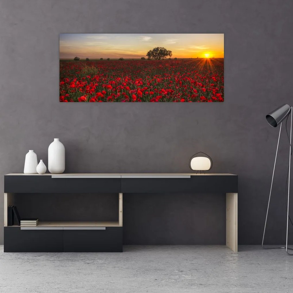 Tablou cu lunca și macii (120x50 cm)