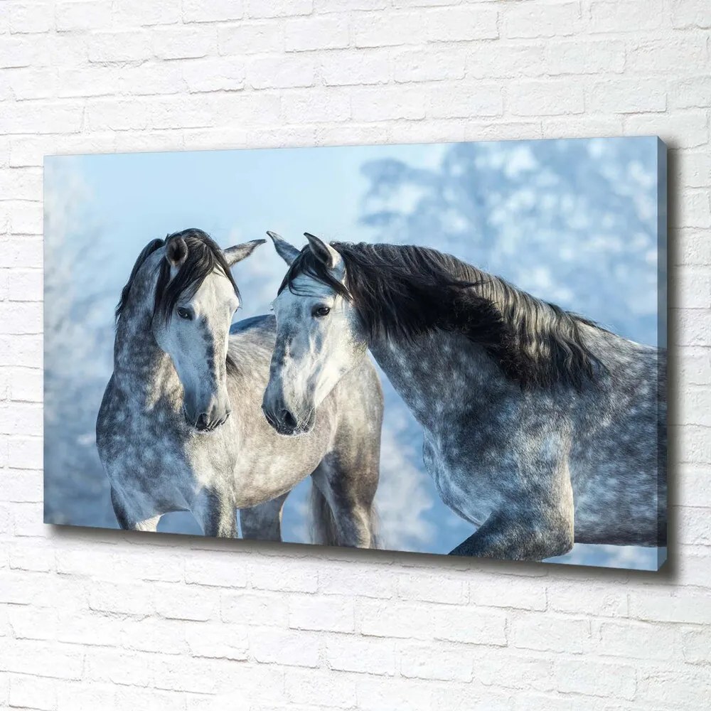 Tablou pe pânză canvas Cai gri de iarnă