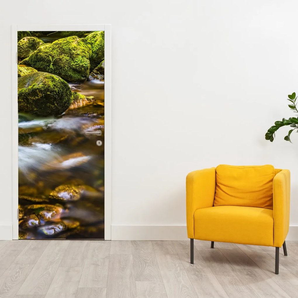 Fototapet pentru ușă - Pârâu (95x205cm)