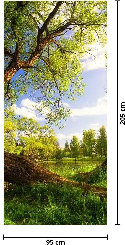 Fototapet pentru ușă - Pajiștea primăvara (95x205cm)