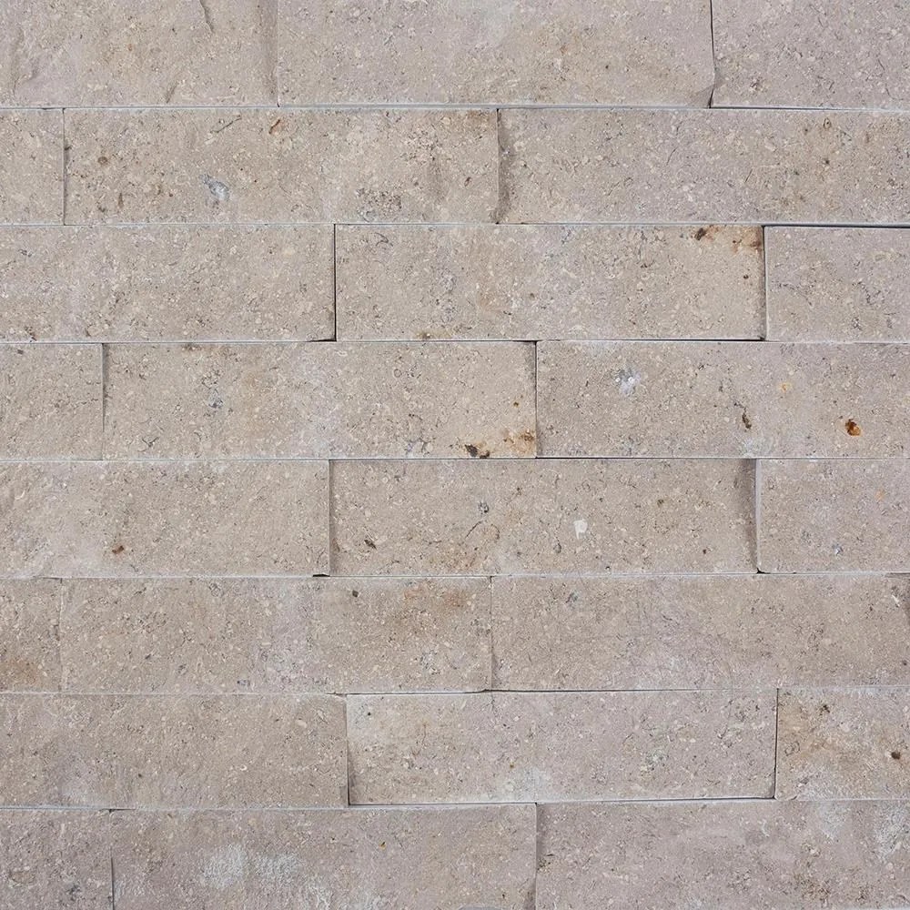 Limestone Astoria Scapitata 4 x 15 cm