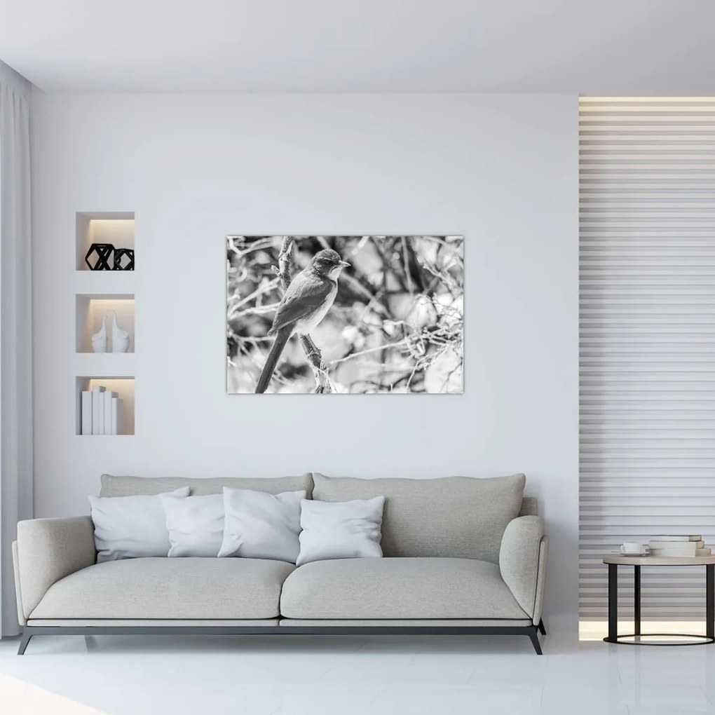 Tablou - Bluebird în timpul iernii (90x60 cm)