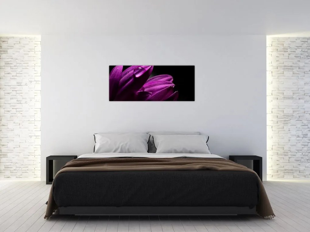 Tablou - Picătura de apă (120x50 cm)