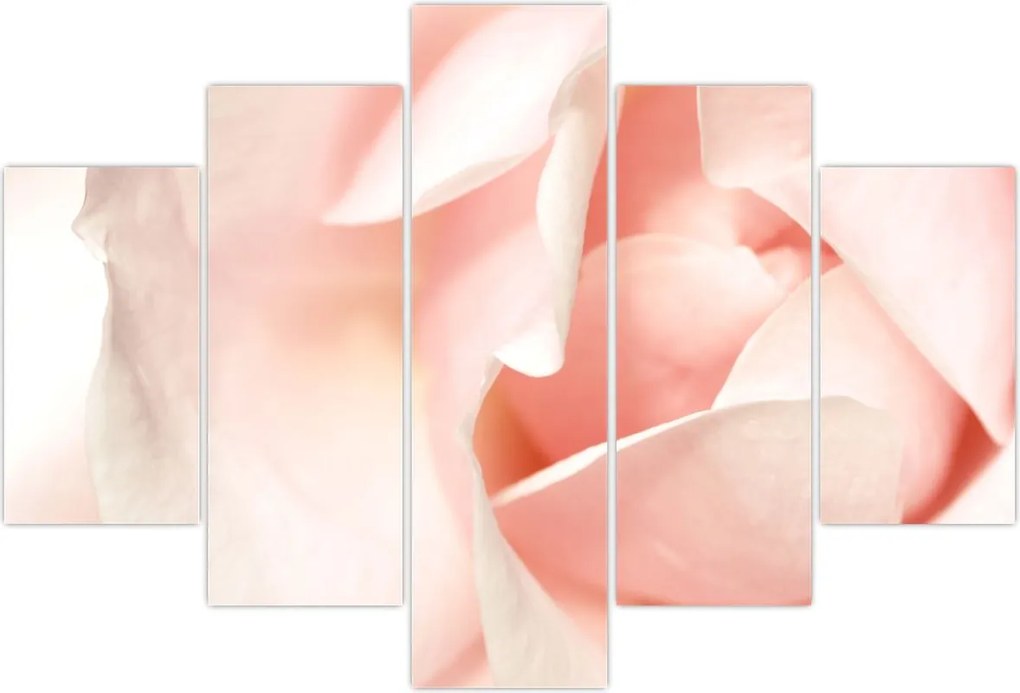 Tablou - Trandafiri (150x105 cm)