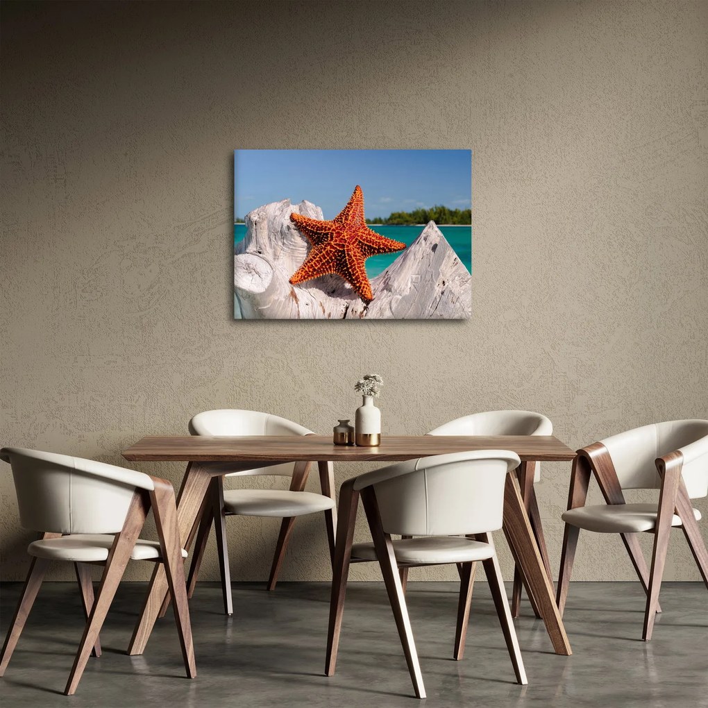 Tablou cu stea de mare (70x50 cm)