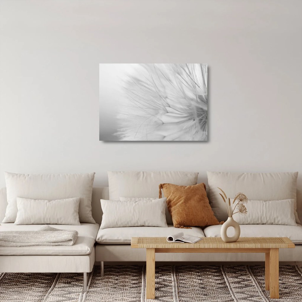 Tablou pe sticlă - Dandelion (70x50 cm)