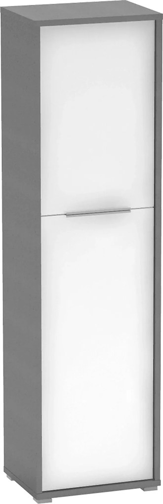 Dulap RIOMA NEW TYP 08, gri grafit/alb, DTD laminat, cu 2 usi, 50x38x1