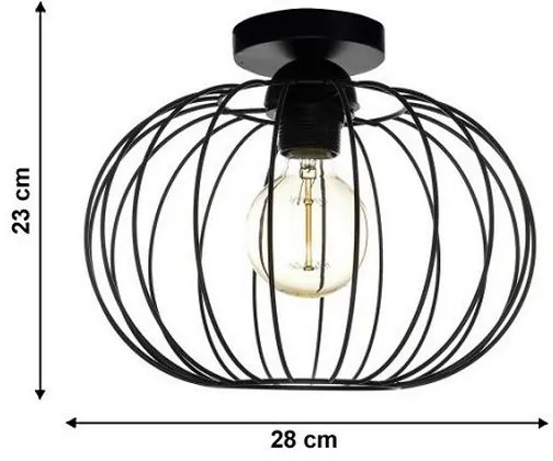 Lustră aplicată EARTH L 1xE27/60W/230V