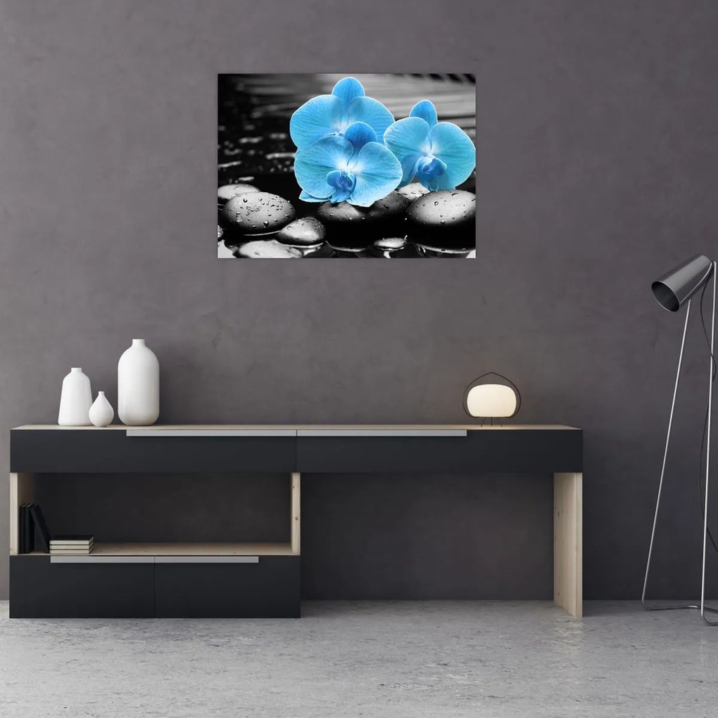 Tablou - Orhidee albastră (70x50 cm)