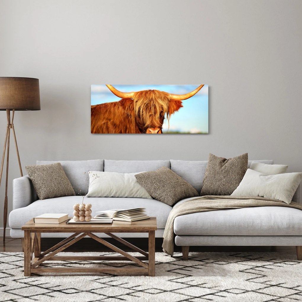 Tablou - Vacă scoțiană (120x50 cm)