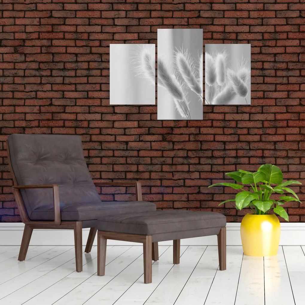 Tablou - Iarbă de coadă de iepure (90x60 cm)