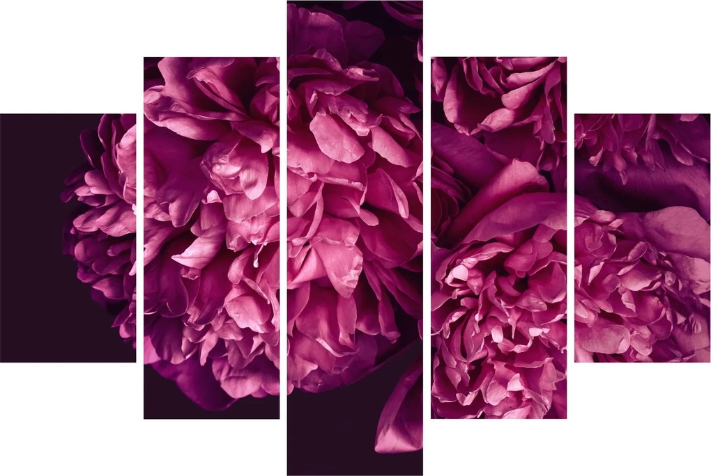 Tablou - Floarea bujorului (150x105 cm)