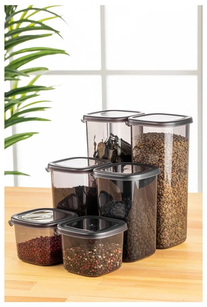 Recipiente 6 buc. pentru alimente Fresco – Hermia