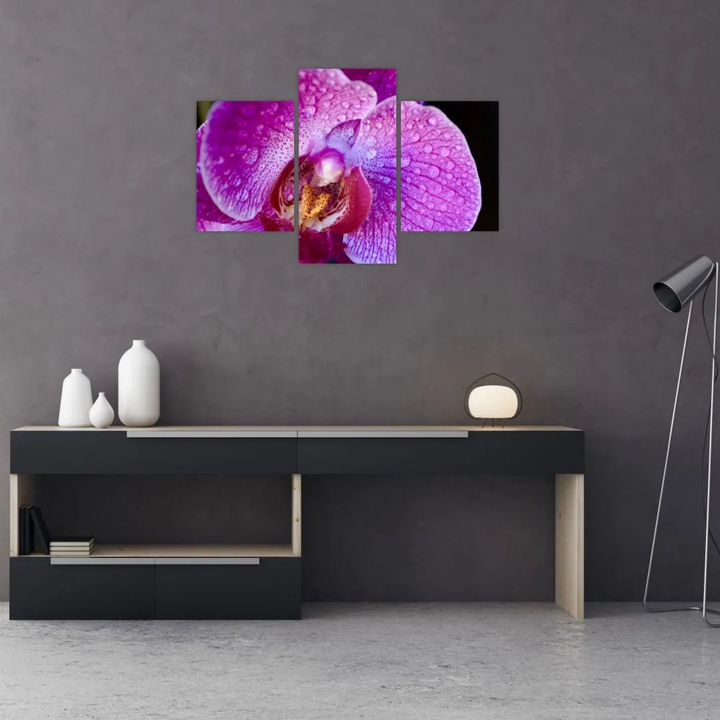 Tablou detailat cu floare de orhidee (90x60 cm)