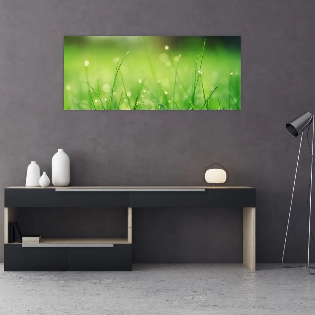 Tablou - roua pe iarbă (120x50 cm)