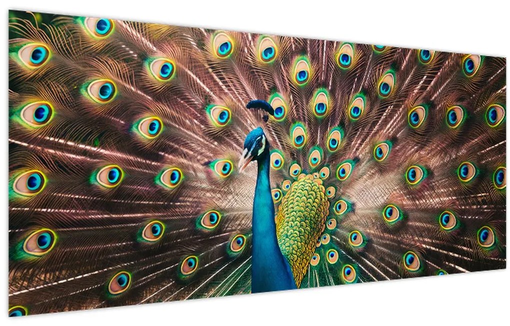 Tablou - Păun (120x50 cm)