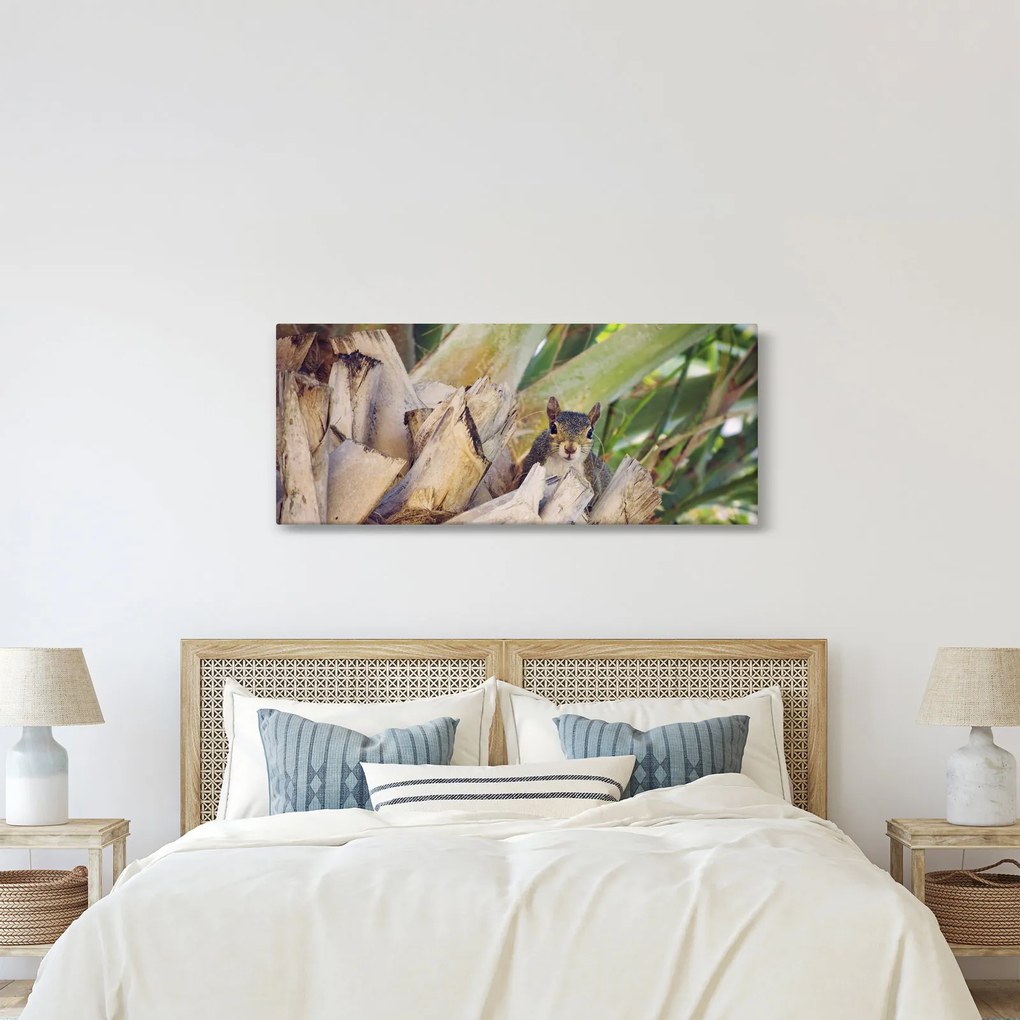 Tablou cu veverița în copaci (120x50 cm)