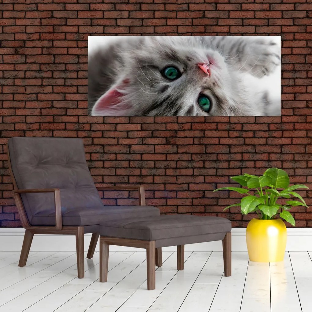 Tablou - Pisica cu ochi verzi (120x50 cm)