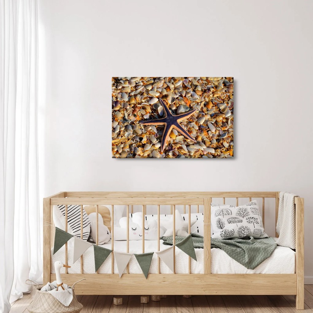 Tablou cu stea de mare (90x60 cm)
