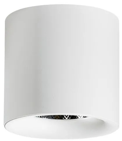 Spot LED aplicat tavan/plafon MANE 20W alb