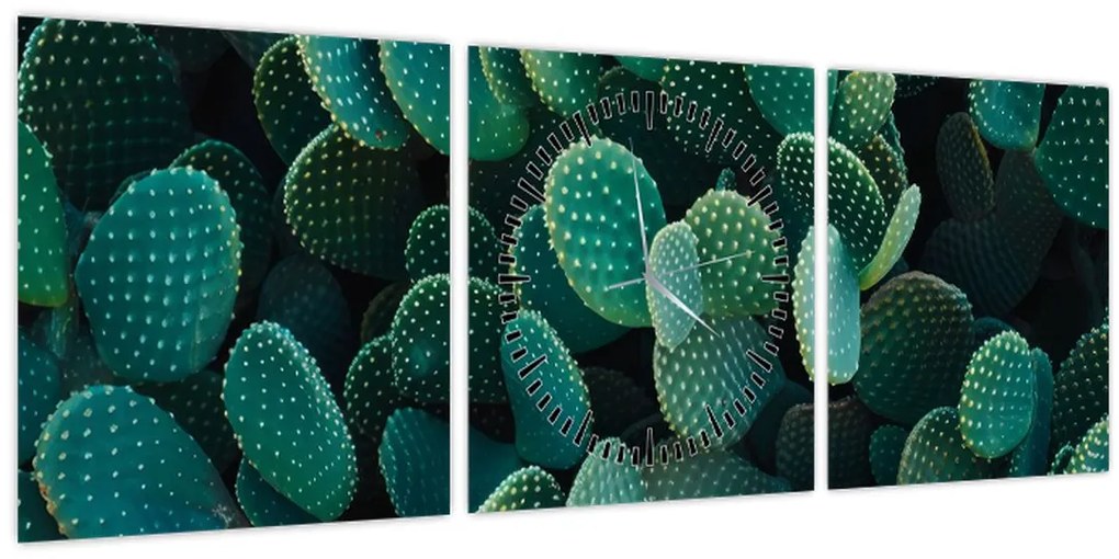 Tablou - Opuntia (cu ceas) (90x30 cm)