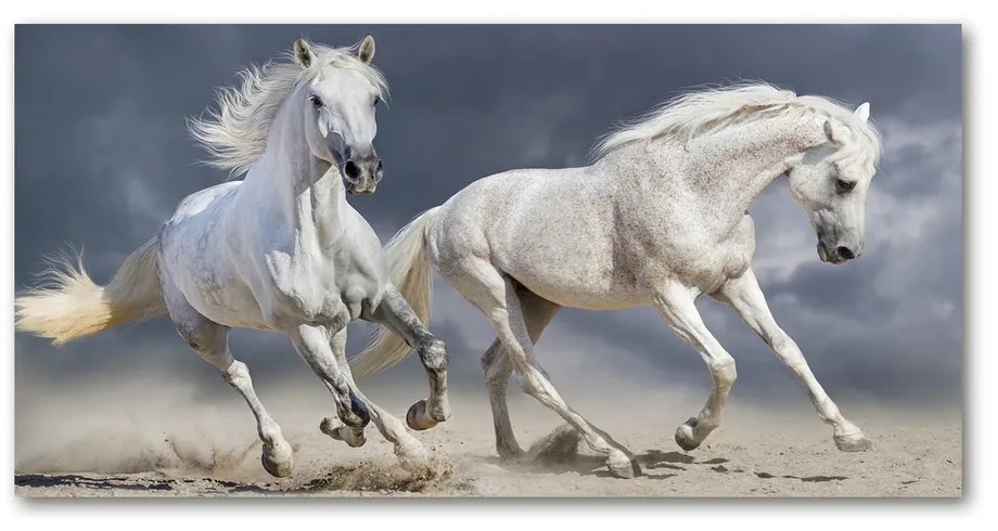Tablou acrilic White beach horse