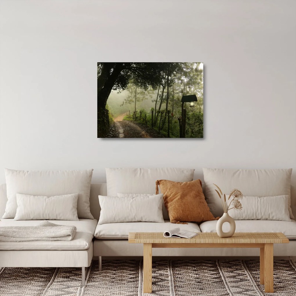 Tablou pe sticlă cu ceața de dimineața (70x50 cm)