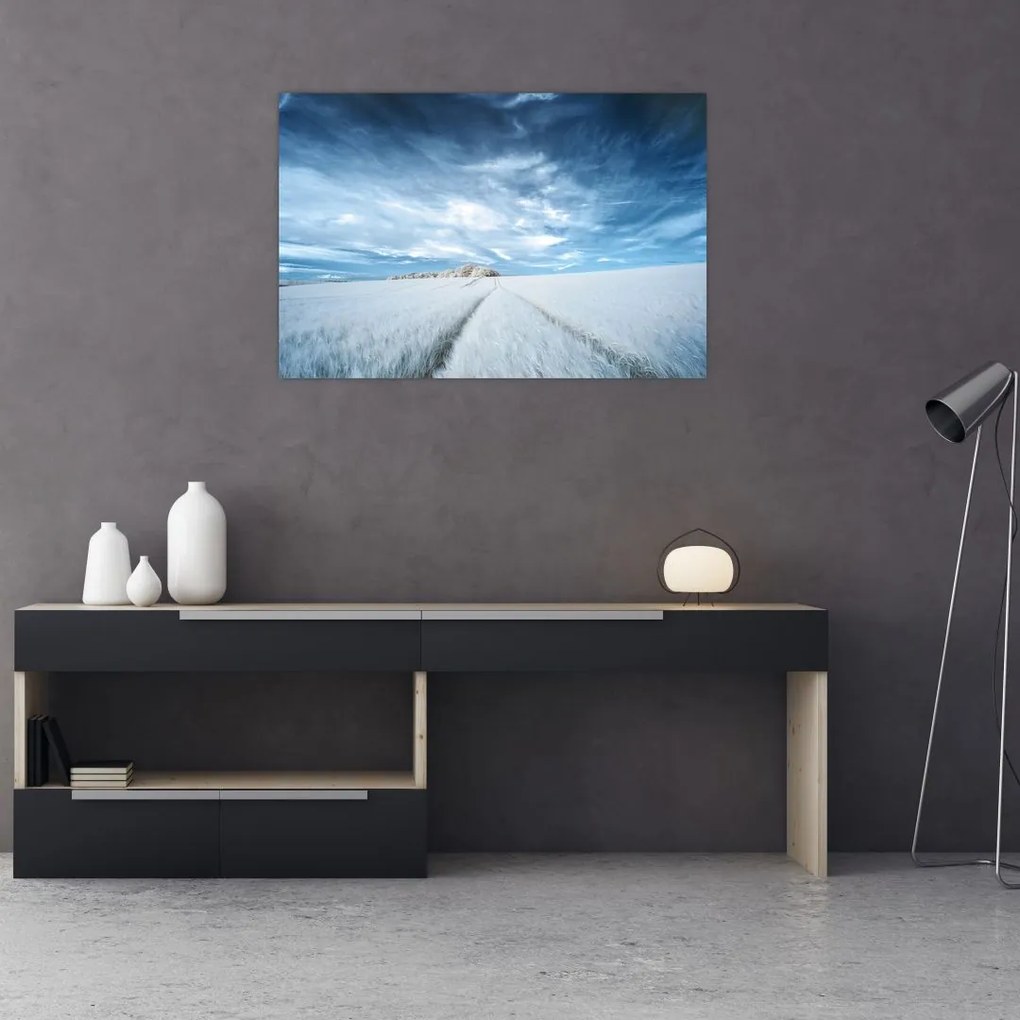 Tablou - Câmp (90x60 cm)