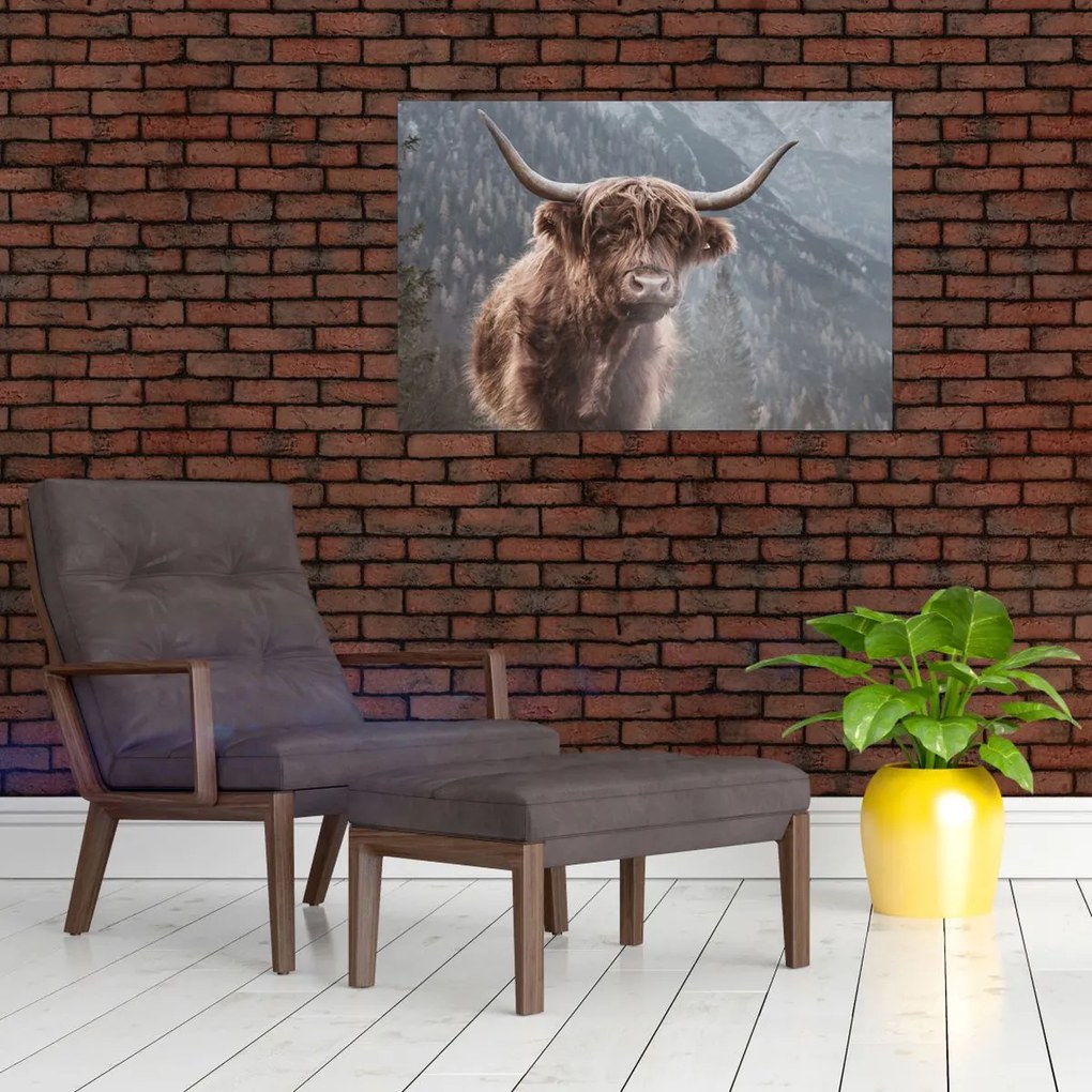 Tablou - Vaca Highlander (90x60 cm)