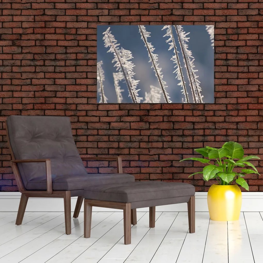 Tablou - Îngheț (90x60 cm)