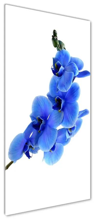 Fotografie imprimată pe sticlă Albastru orhidee