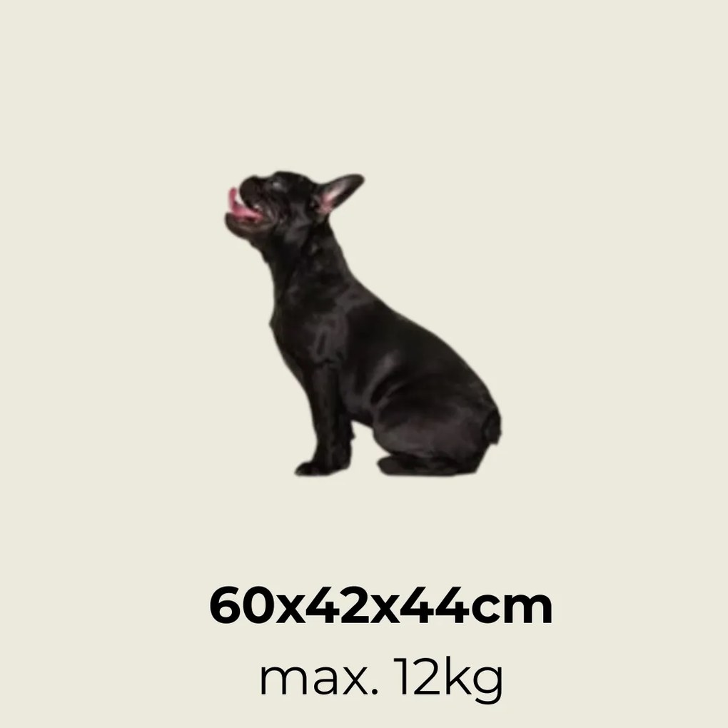 Cadoca Geantă de transport pentru câini și pisici ELI, 60x42x42cm, roșu închis