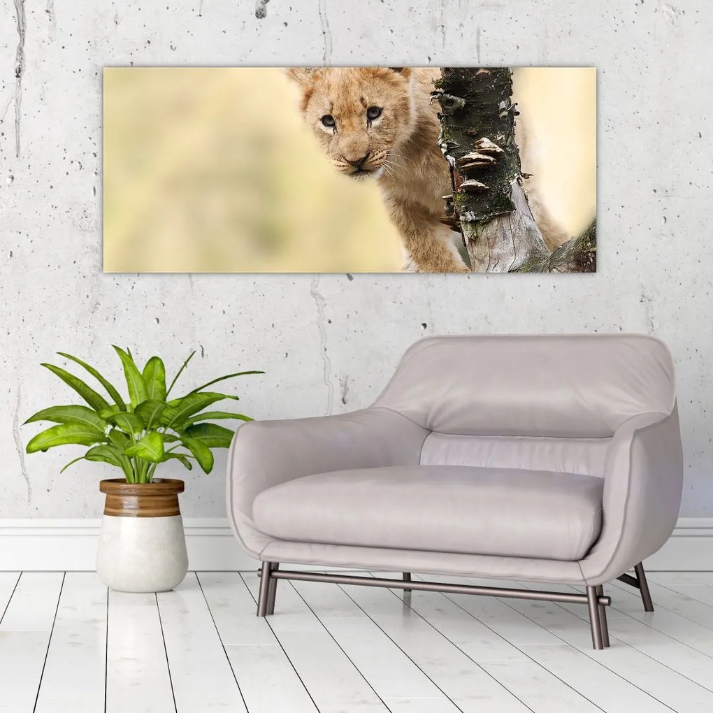 Tablou cu pui de leu (120x50 cm)