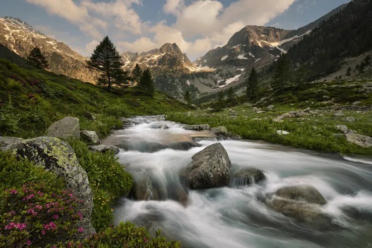 Fotografie Maritime Alps Park, Paolo Bolla