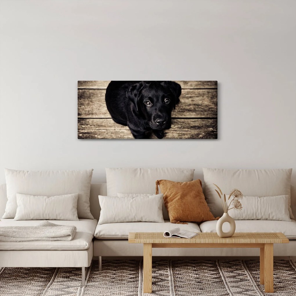 Tablou cu cățeluș negru (120x50 cm)