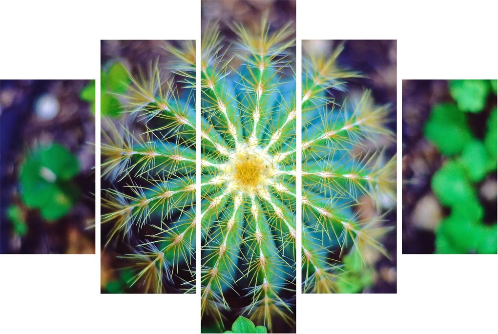 Tablou cu cactus (150x105 cm)