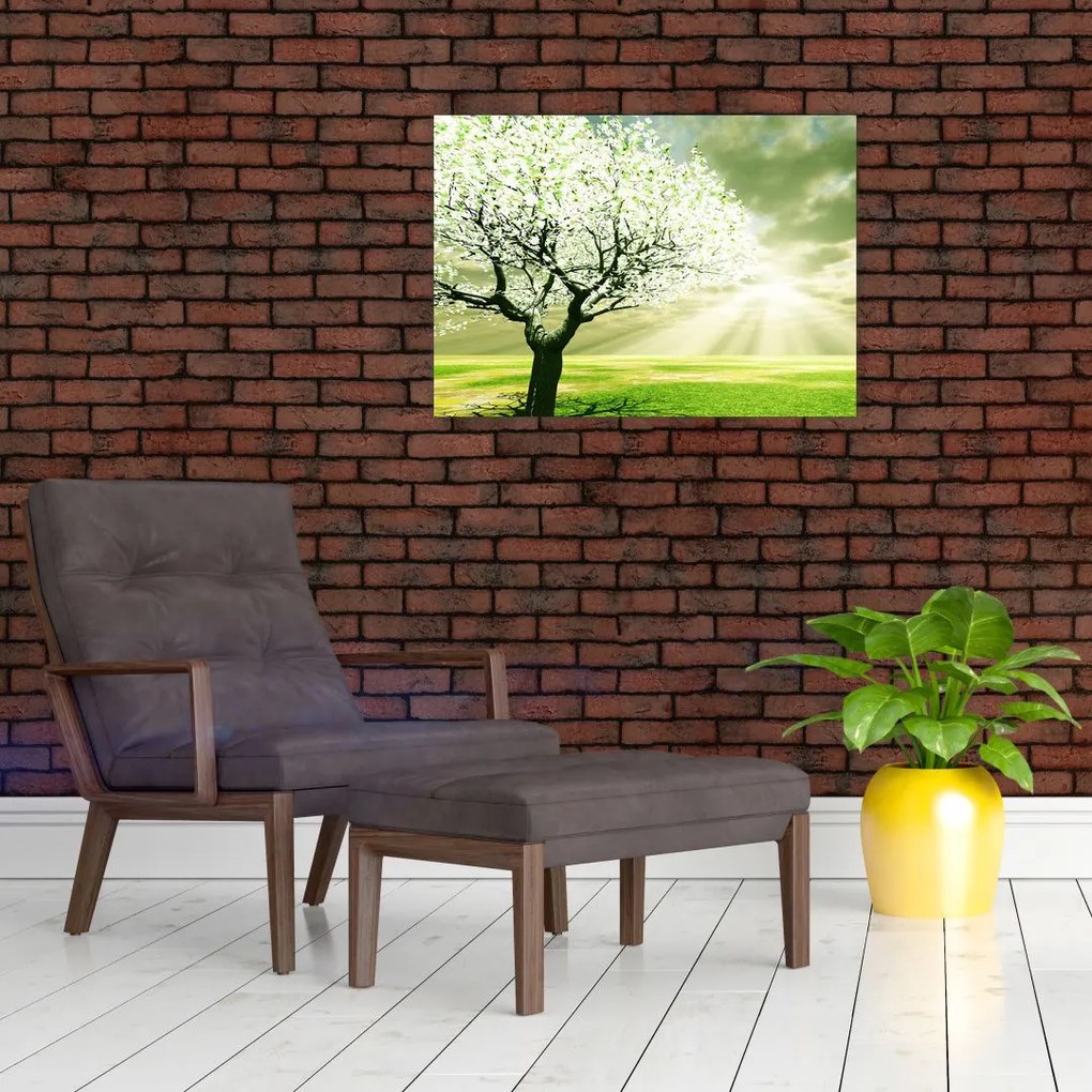 Tablou cu copaci pe luncă (70x50 cm)
