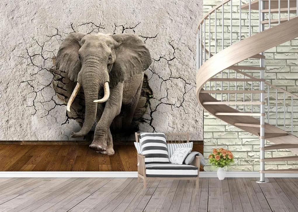 Fototapet 3D. Elefant spargand peretele Art.030182