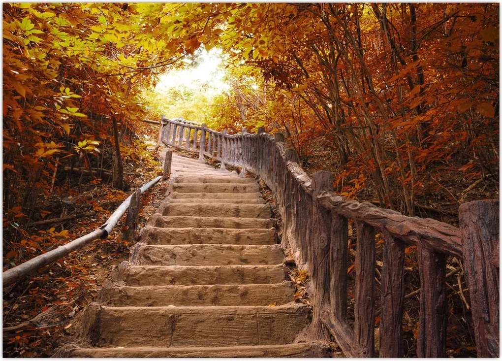 Tablou - Scări în natură în toamnă (70x50 cm)