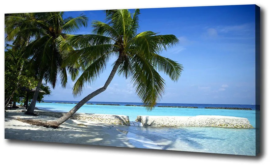 Print pe canvas Plaja tropicala