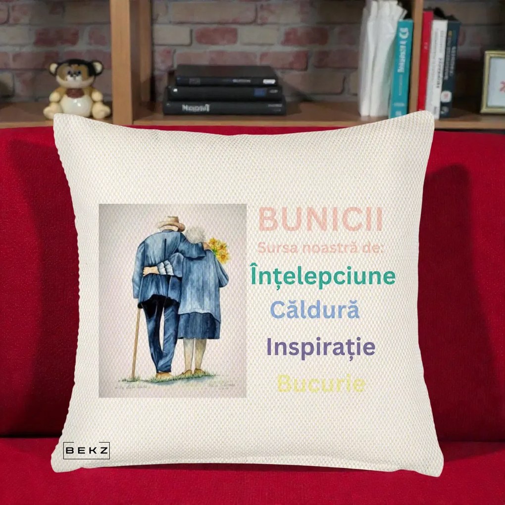 Cadou pentru Bunici - Perna Personalizata Bunicii Sursa Intelepciune Caldura Acuarela, 40x40 cm, Crem Reliefat, Husa Detasabila, Perna Inclusa, BEKZ®