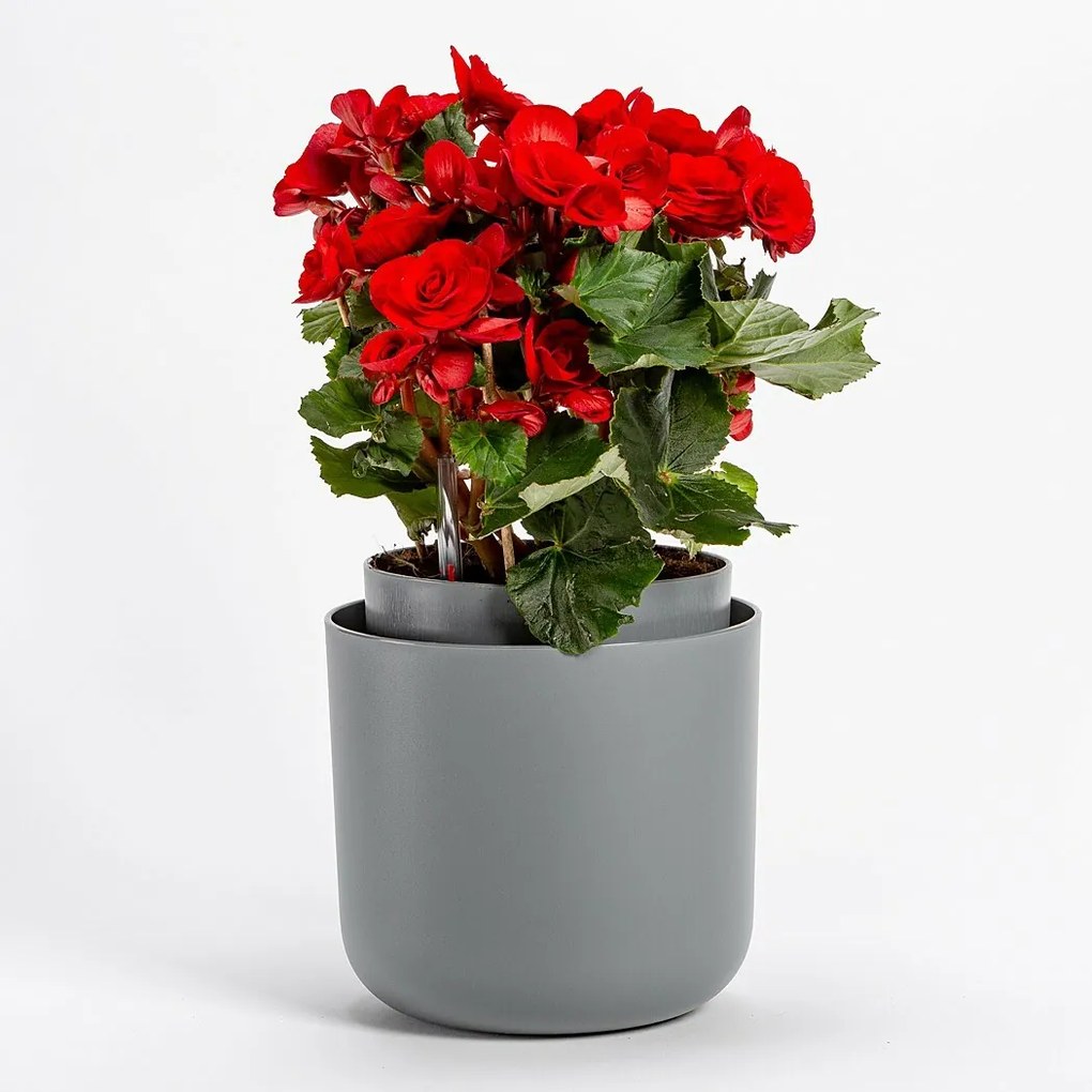 Ghiveci cu auto-irigare Plastia Tolita, gri, diam. 16 cm, diam. 16 cm