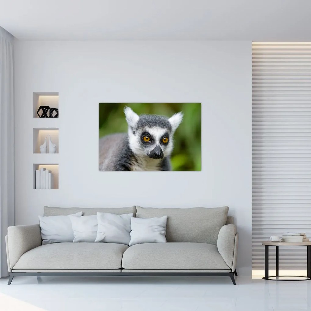 Tablou cu lemur (90x60 cm)