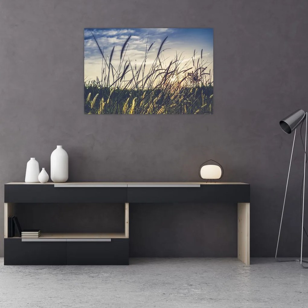 Tablou cu flori de câmp (90x60 cm)